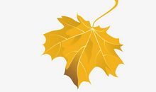 一片落叶里的感动