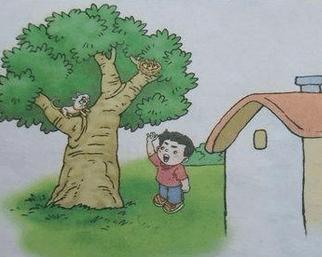 顽皮的小猫看书写字