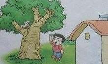 调皮的小猫看图写话