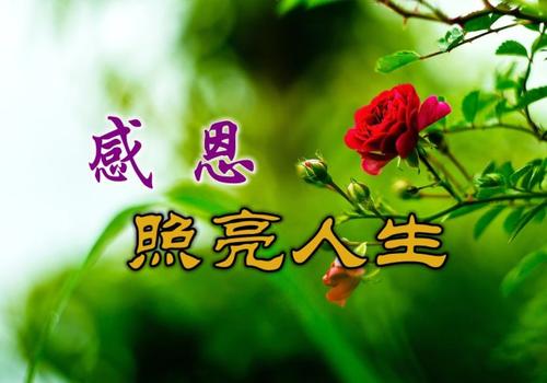 我要感恩