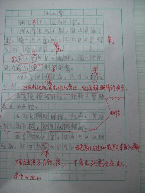 描述仙人掌的成分