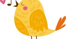 给鸟儿的一封信