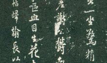 写给楼颜舟的信