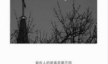 卑微而伟大的爱