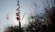 环境不是人成长的决定因素