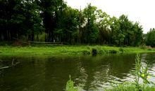 杨柳依依 芳草疏离