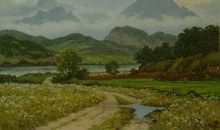 难忘记忆中的那抹绿