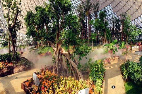 大洋山植物园旅行须知