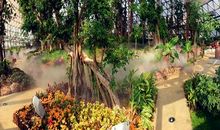 大阳山植物园游记