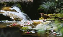 有一支歌长留心间