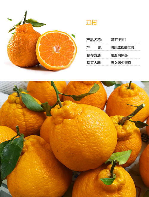 我喜欢橘子