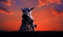 八岁中第一个启示