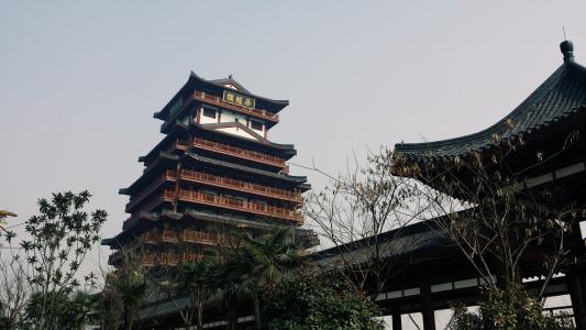 在茶馆里看月亮