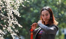 我和梅花有个约会