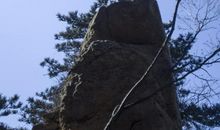 我和爸爸去爬山