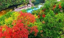 家乡的绚烂四季