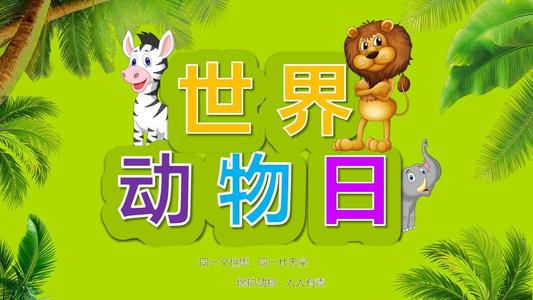 小猴子在动物课上的会议