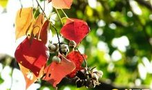 又一年春暖花开