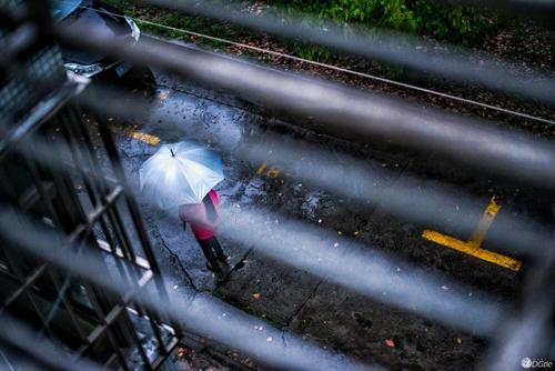 多雨的白日梦