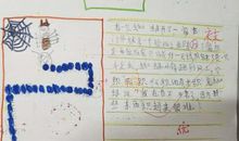 蜘蛛开店续写400字