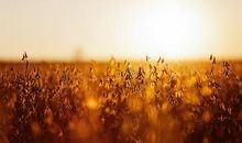 这个秋天的收获