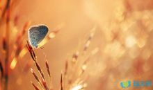 一缕阳光洒向心田