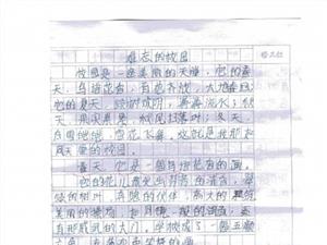 令人难忘的一个人组成