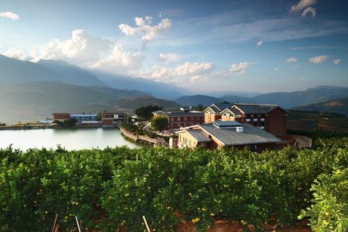 唐人参生态庄园参观