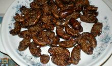 初中家乡的味道