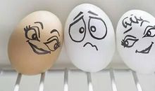 鸡蛋带给我的启示