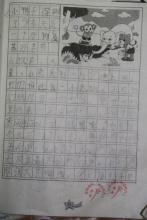 描述鸭子的组成