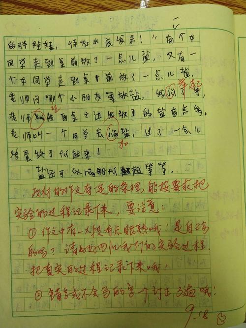 盐水鸡蛋漂浮的组成