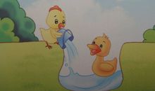 救小鸭的看图写话