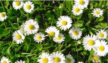 深藏心底的友情