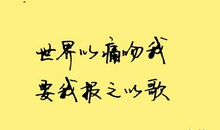 对世间报之以美好