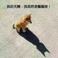 从外面看，看到里面