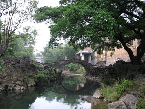 池塘岁月