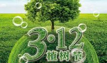 你是我心中的一片绿