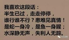 寻找遗忘的亲情