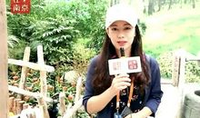 定格在心中的画面