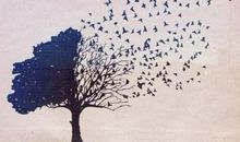 期待那没有雾霾的美丽石家庄