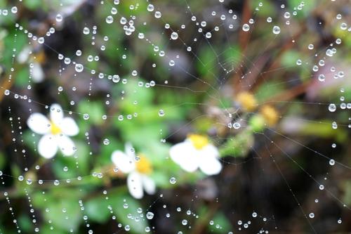雨中的世界
