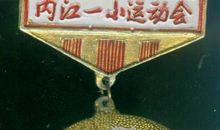 我心中的“运动奖章”获得者