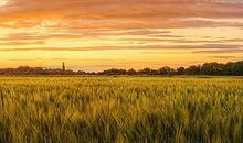 阳光落处是风景