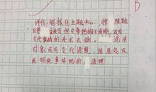 这里真热闹作文300字