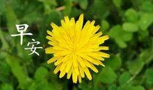 努力让梦想开花