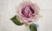 陪伴是一种最美的生命姿态