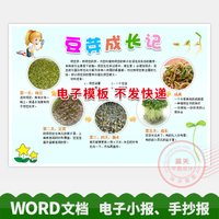 豆芽生长观察日记