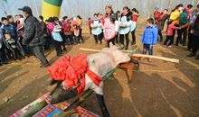 厨房里的运动会