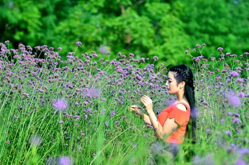 沉迷于鲜花